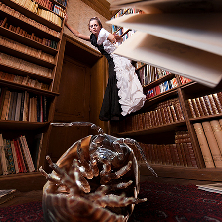 serie: onmogelijke huisdieren